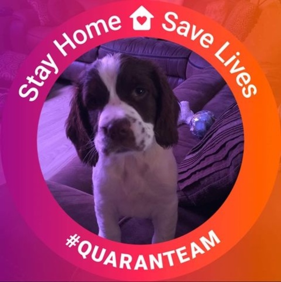 Meet your Posher, Christine - Picture 1 of 1